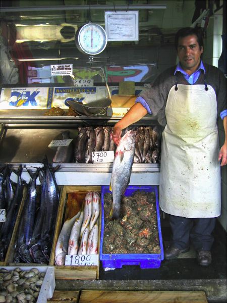 058_.chile.chillan.mkt.fish